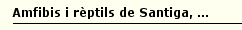 Amfibis i r�ptils de Santiga