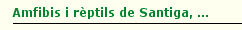 Amfibis i r�ptils de Santiga