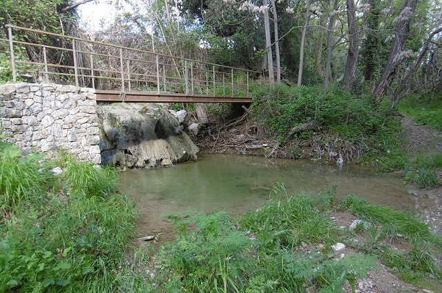 Amfibis i r�ptils de Santiga, Torre-romeu i els seus entorns